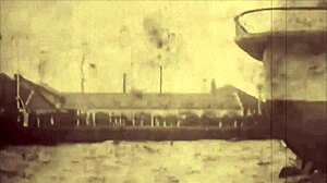 vintage erotic art featuring hairy beavers and retro scenes