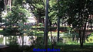 I thrust my cock hard into her tight ass on the balcony.