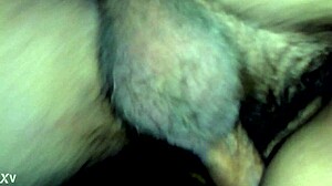 I fuck my young 18 girlfriend in the hotel room.