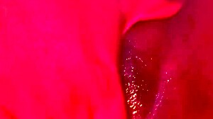 Ebony Babe Masturbating Her Pussy to Orgasm!