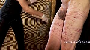 Watch this cruel blonde milf whip his cock?