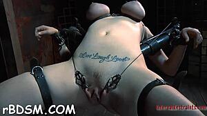 BDSM Pics Showcase Shaved Pussy Spanking!