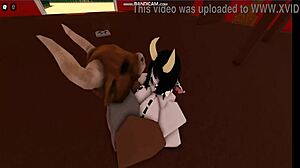 cow girl rides and gets fucked hard by bull in intense cowgirl position