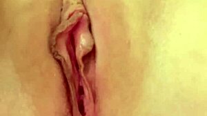 我发现继妹在佛罗里达当妓女！