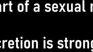 oh man i caught this black teen burglar so i pounded her petite pussy doggystyle in office