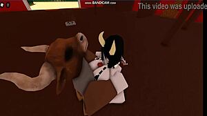 cow girl rides and gets fucked hard by bull in intense cowgirl position