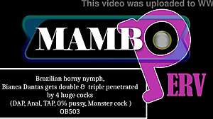 Brazilian Horny Nymph Bianca Dantas Gets Double Dap Anal Tap Monster Cock Balls Deep 0 Pussy Atm 4on1 Monster Cock Ob503