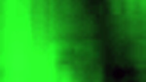 我的秘密生活与复古毛茸茸口交