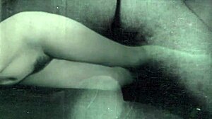 我的秘密生活与复古毛茸茸口交