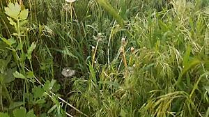 I Piss In A Public Place In Nature And Then Masturbate My Pussy To Orgasm