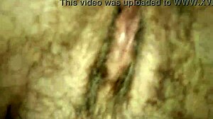 Amateur pov of licking mature hairy pussy with muff diving technique