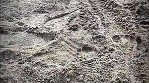 public encounter on the beach with stranger