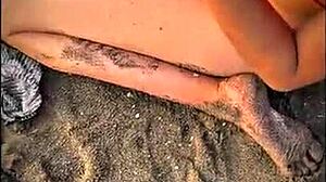 public encounter on the beach with stranger