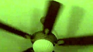 lynnette lyons gets her face fucked hard