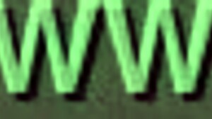 Nicoli Fox and Leo Ogro's Silhouette Challenge