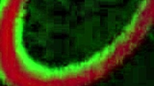 Latina Angelina Castro and Joslyn Jane in a steamy encounter