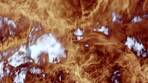 hot latina women suck the boxing coach's big cock in the gym