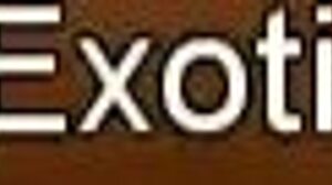 Oriental brunette licking pussy during massage