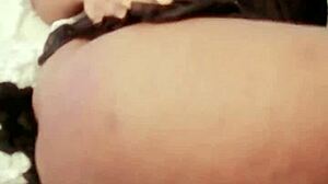 sundaydogood614 shares her latest homemade update on april 23 2025