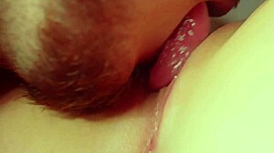 Hot amateur pussy licking closeup with young wet sexy muff diving