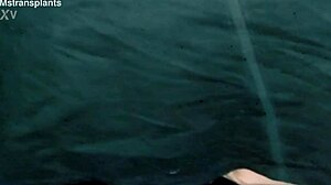 Trans Woman Hints at Riding Dildo Passionately