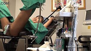 The New Guinea Pig Eliza Sheilds