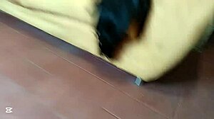 我给胖继妹晚安性交