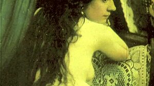 dark lantern entertainment hints at my secret life with vintage hairy beaver