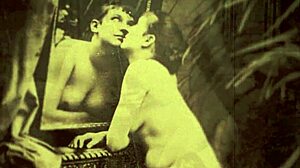 dark lantern entertainment hints at my secret life with vintage hairy beaver