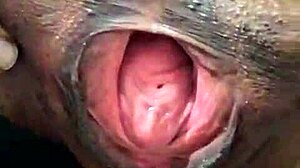 Brenda Floripa撕衣狂自慰独秀骚穴