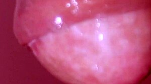 Japanese Wife Cheating With Blowjob And Cum In Mouth