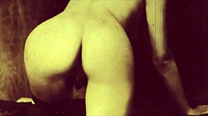 dark lantern entertainment hints at my secret life with vintage hairy beaver