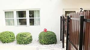 why not meet this latin sexy neighbor? she's craving that big black cock blowjob action.