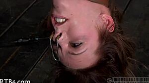 In this hardcore sadomasochism porn, the intense scenes unfold with raw passion and unrelenting dominance in every twisted moment.