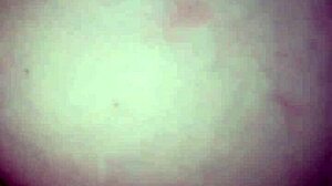 in this interracial scene, the juicy croatian latina licks and rides big black cock with passion