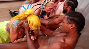 Goro Kush leads reverse gangbang with Alexxa Vice Tilly Jackson Zoe Grey and Bimfcpl. They bang interracial with big black cocks in tight pussies and creampies.