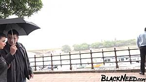 this busty wife dives into wild interracial anal with a massive black cock, getting her big ass pounded rough and sloppy in exotic african style