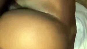 The doggie felt so hot during the summer day walk