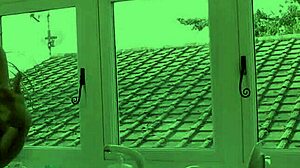 I love tasting that mature British pussy while rubbing it