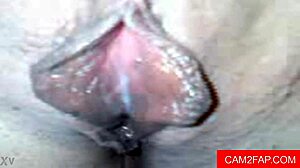 blowjob leads to amateur anal webcam session