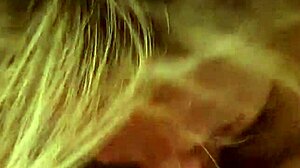 alineflavio update 155 from september 26 2024