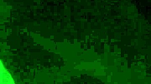 Ewa Kwencynska European Pornstar