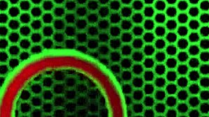 Jelena jensen lathers up big ass and pussy lips in jacuzzi shower