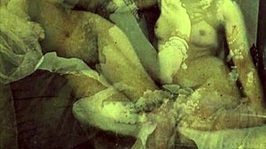 I remember those vintage lesbians diving into hairy beaver in a steamy 3some.