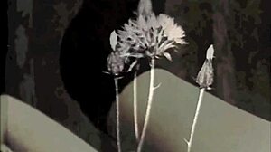 Oh man, I-I love diving into these vintage peepshow confessions from My Secret Life. The erotic tales of that Victorian gentleman with hairy pussy action just get me goin'...