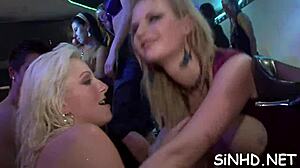 Huge group fucking with sluts getting facial cumshots and rough missionary delights 😈