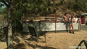 Keisha Grey gets a bunch of cocks in hardcore gangbang. She takes banging from group with big tits ass and pussy cumshot.