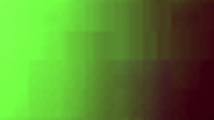 she showed up ready for some hot korean-peruvian action