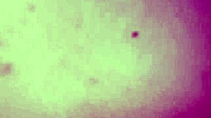 Esposa gets wild with ex and husband in big tits group creampie action 😏🍆