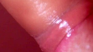 Young stepmom gives a close-up blowjob to her stepson in steamy mommy action